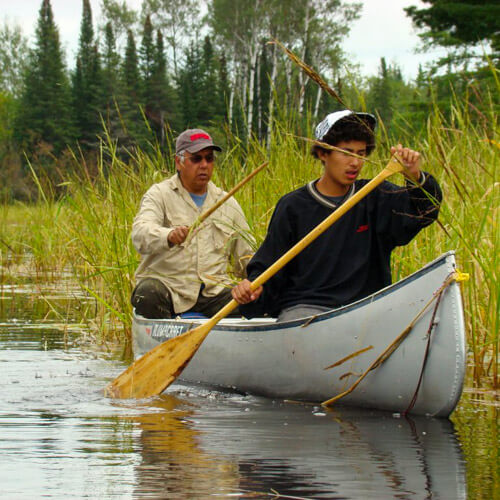 Growing Native Great Lakes: Turtle Island