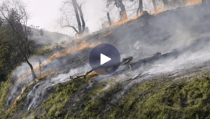 Fire Tender